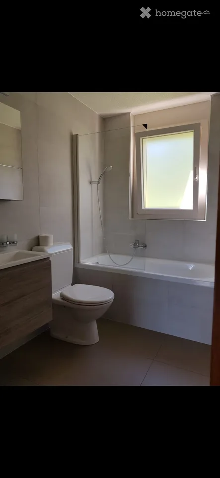 Charming 3.5-room apartment with large terrace for rent in Savièse