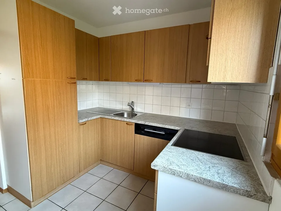 Helles 4.5-Zimmer-Apartment (100mq) zum Verkauf in Pregassona – Via Vedreggio 19