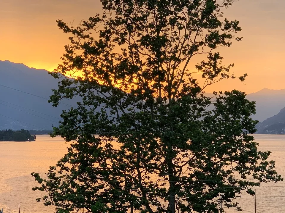 Geräumiges 5,5-Zi-Wohnung mit Garten und Terrasse mit Seeblick in Brissago