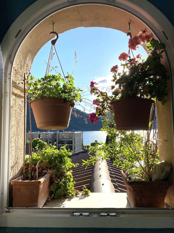 Appartement mit 4 Zimmern, Charme und Panoramaturm