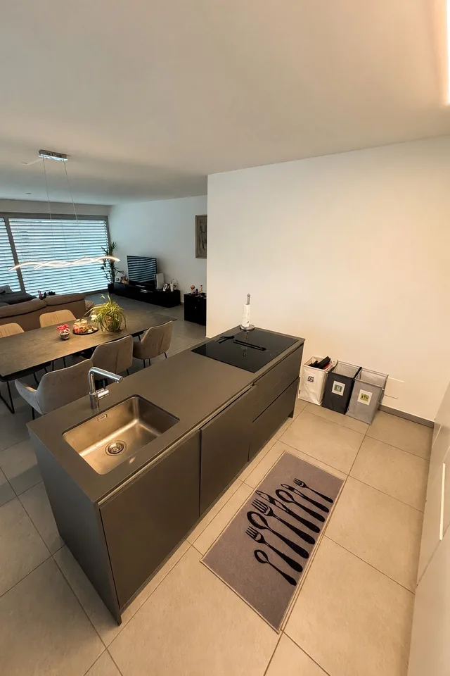 Attic 3.5 rooms with large terrace in the heart of Bellinzona