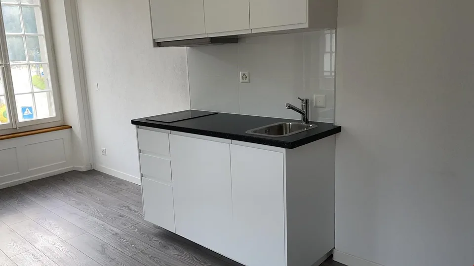 Appartement 1 pièce rénové à 10 min. de Bienne