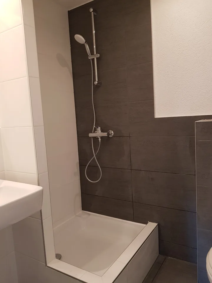 Appartement rénové et lumineux ** GRAND BALCON **