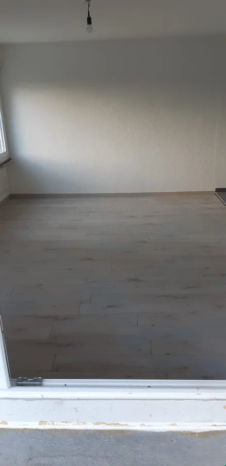 Appartement rénové et lumineux ** GRAND BALCON **