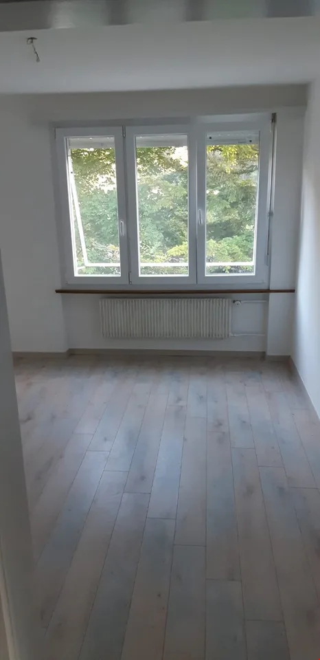 Appartement rénové et lumineux ** GRAND BALCON **