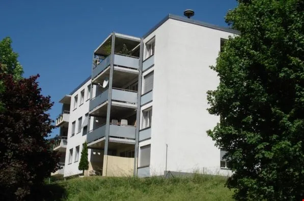 Appartement rénové et lumineux ** GRAND BALCON **