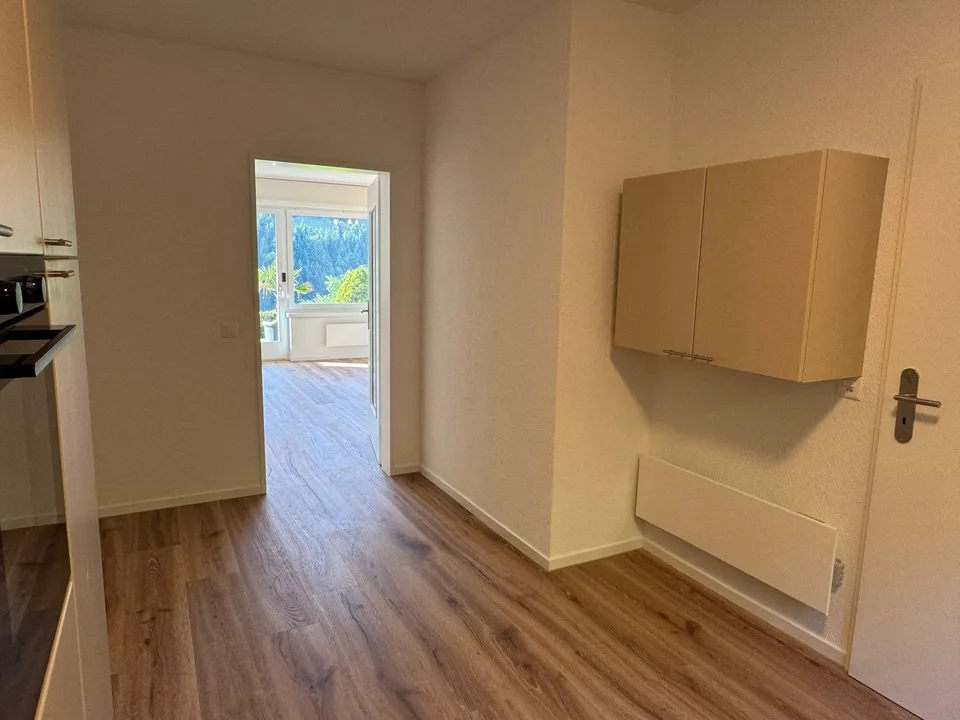 Maison mitoyenne de 5,5 pièces avec jardin à louer à Adligenswil