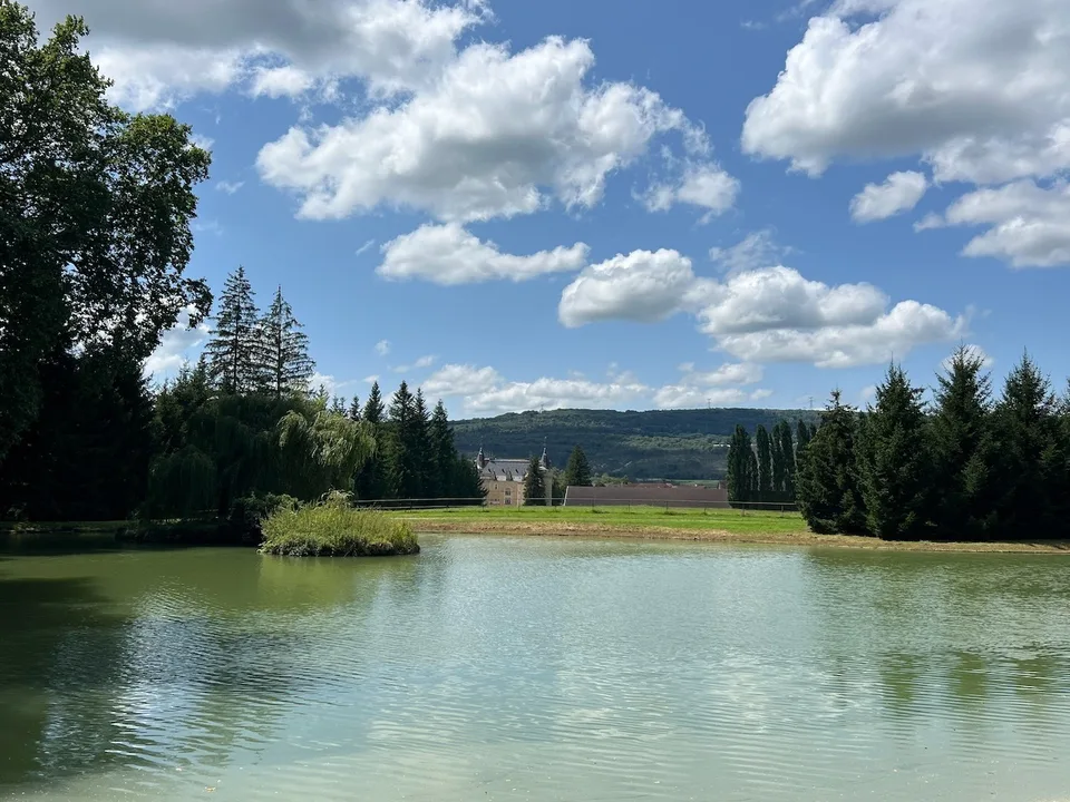 Magnifico Castello su 132 ettari