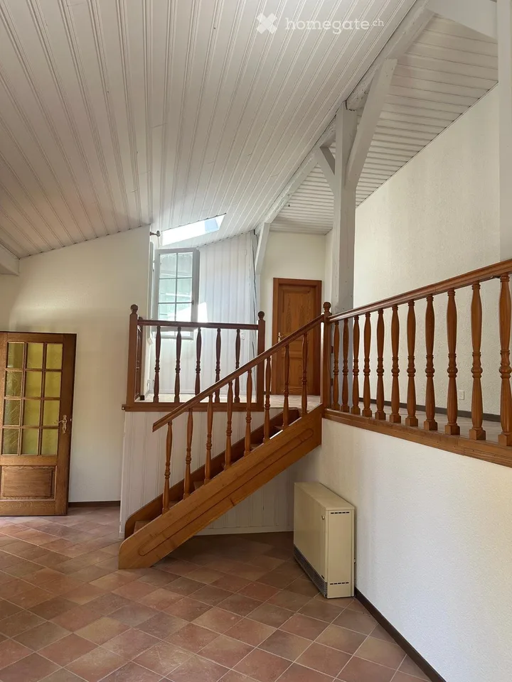 Maison historique avec terrasse au cœur de Coppet