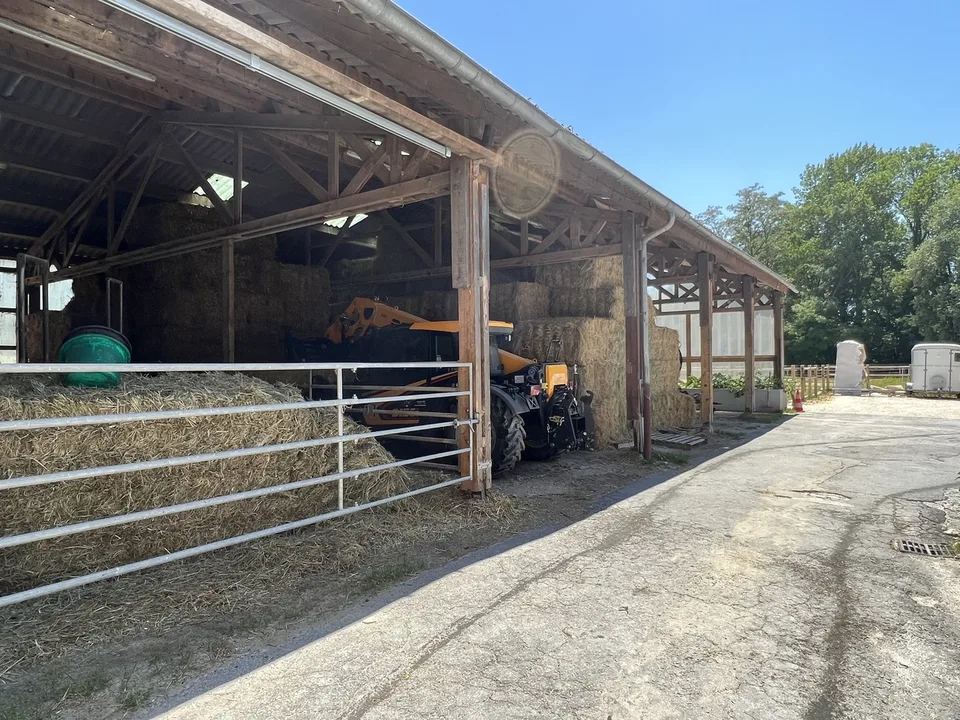 SELTEN - Luxus-Pferdeanlage an der Genfer Grenze