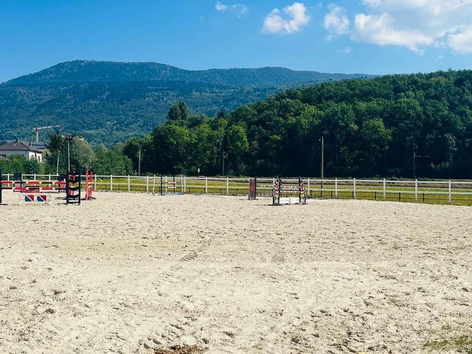 SELTEN - Luxus-Pferdeanlage an der Genfer Grenze