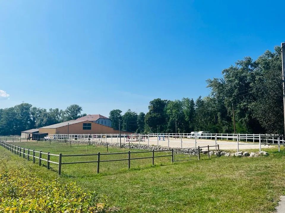SELTEN - Luxus-Pferdeanlage an der Genfer Grenze