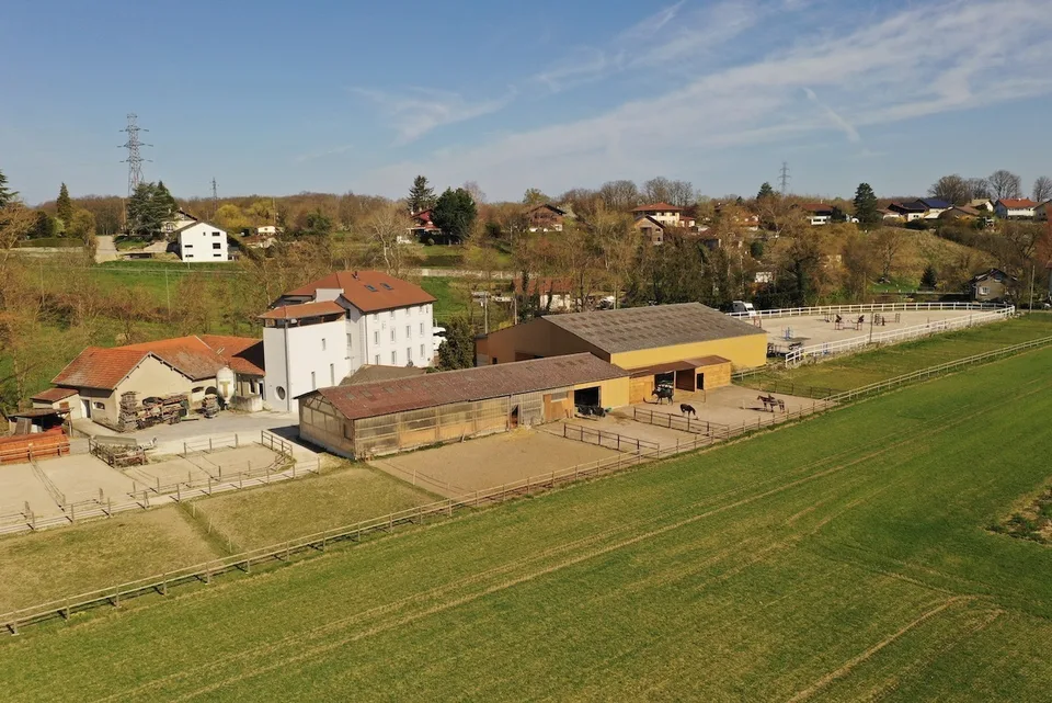 SELTEN - Luxus-Pferdeanlage an der Genfer Grenze