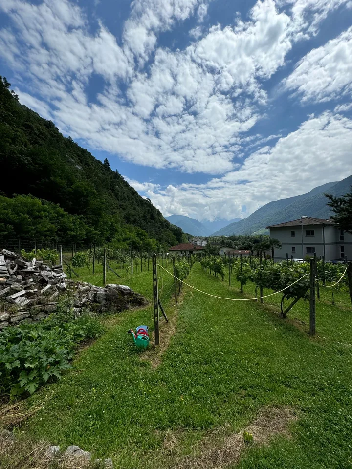 Terreno edificabile pianeggiante in vendita a Cresciano, 6705 Riviera