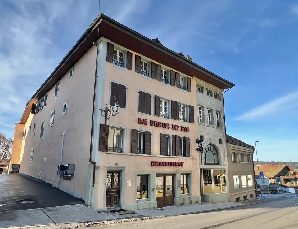 Atypical large 2.5-room apartment with large terrace