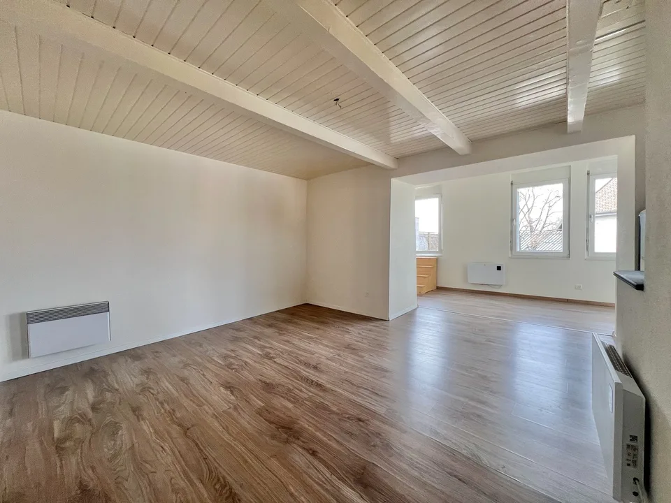 Atypical large 2.5-room apartment with large terrace