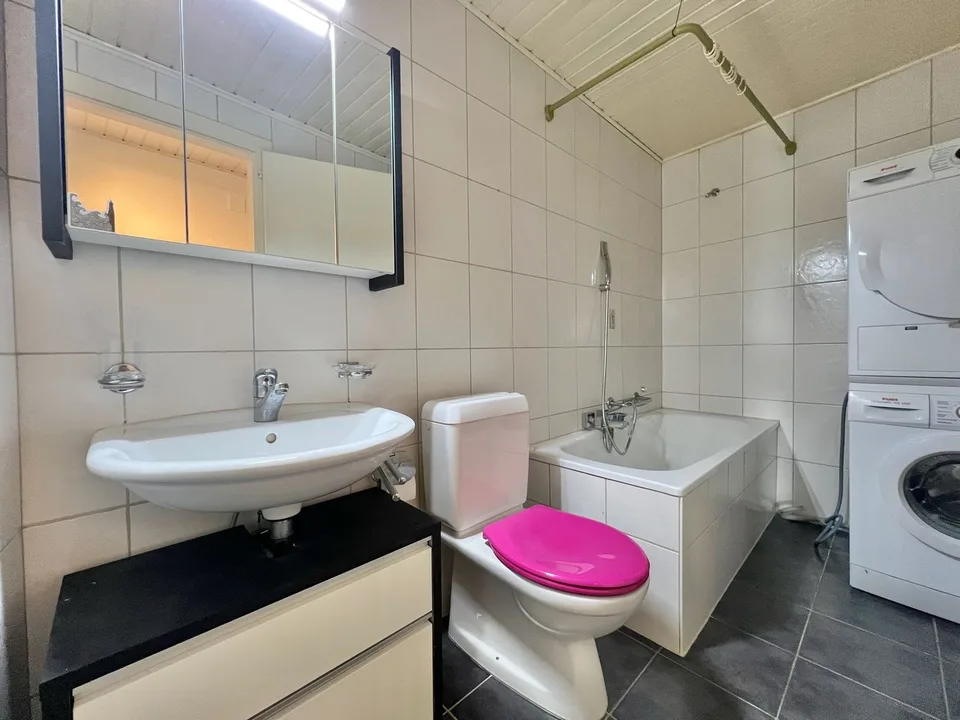 Atypical large 2.5-room apartment with large terrace