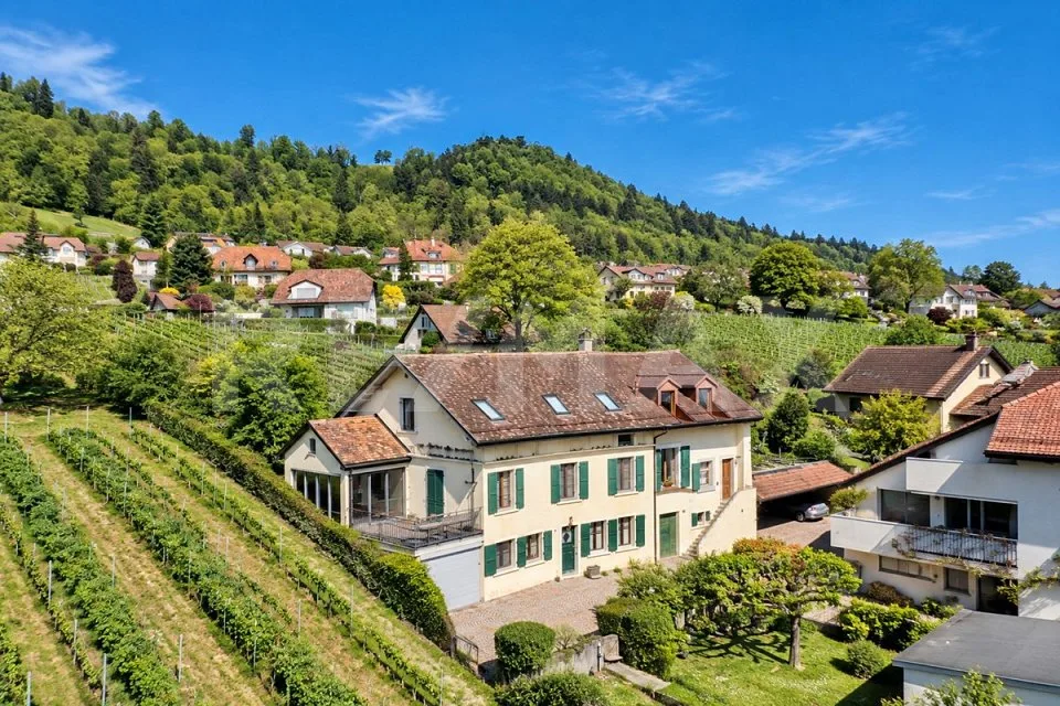 Tra vigneto e Lago di Ginevra: casa di villaggio di 273 m² – foto 1 di 20