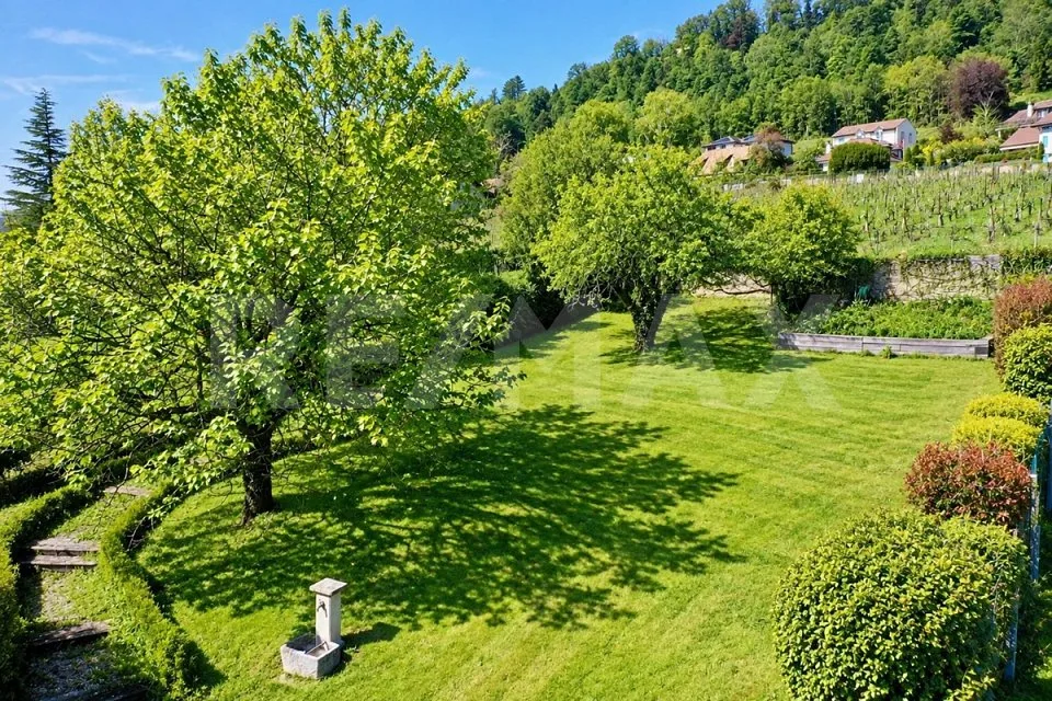 Tra vigneto e Lago di Ginevra: casa di villaggio di 273 m² – foto 6 di 20