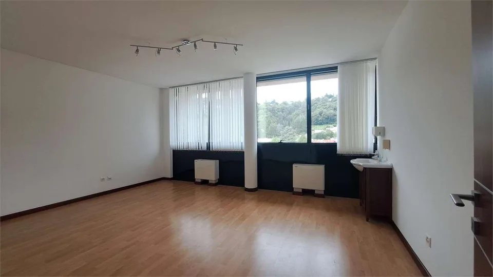 Mietbarer Gewerberaum in Pambio Noranco, unterteilarbar