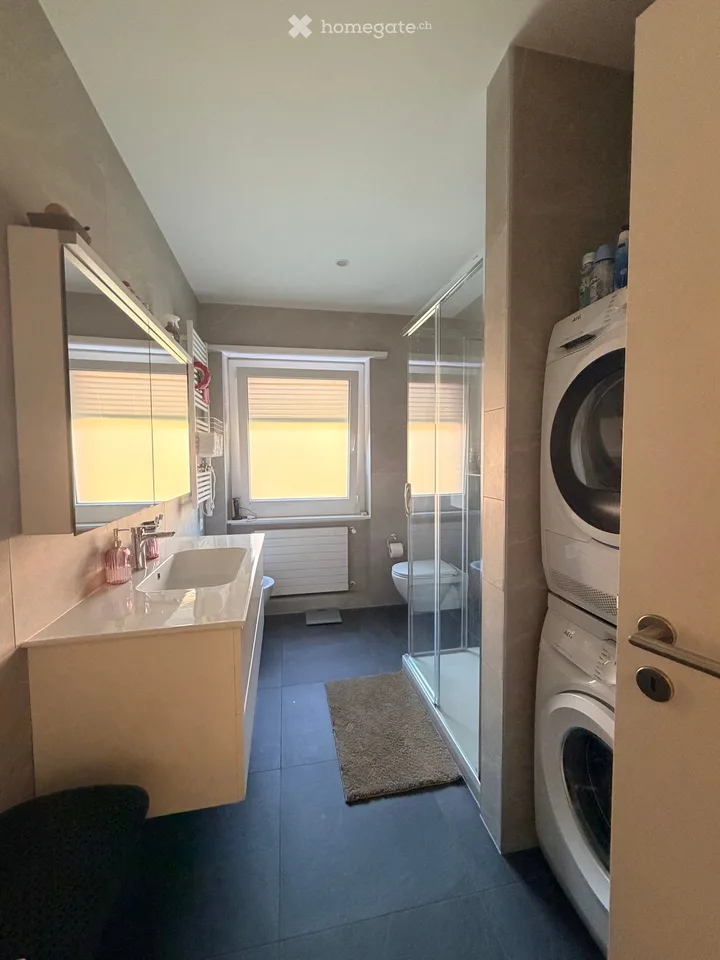 Suche Einzieher 3.5 Zimmer für 1.12.2026