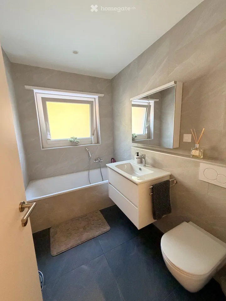 Suche Einzieher 3.5 Zimmer für 1.12.2026