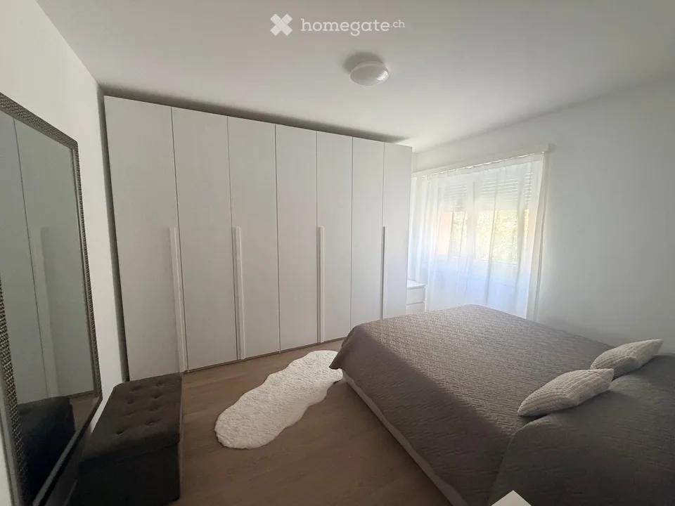 Suche Einzieher 3.5 Zimmer für 1.12.2026