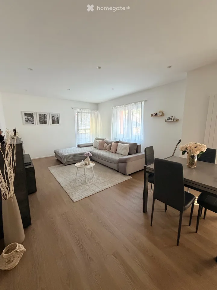 Suche Einzieher 3.5 Zimmer für 1.12.2026