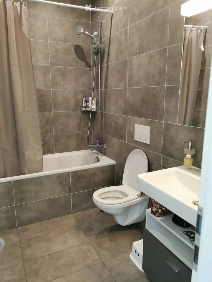 3.5 room apartment with terrace and garden in Monthey