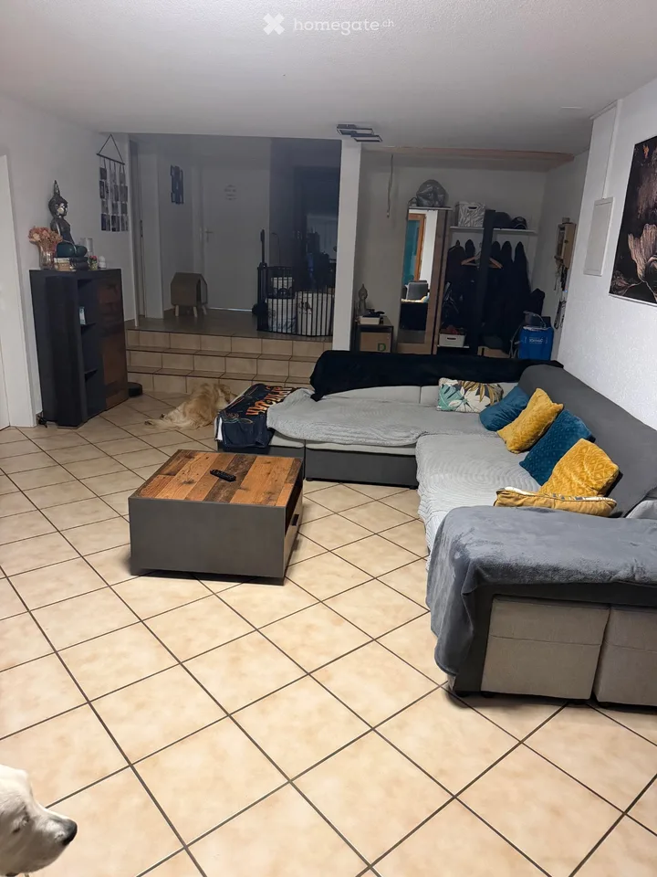 Zu vermieten wunderschönes 3-Zimmer-Apartment mit Terrasse