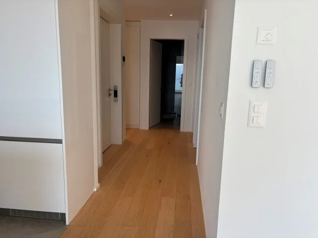 Bello appartamento di 3.5 locali con bella vista lago e montagne