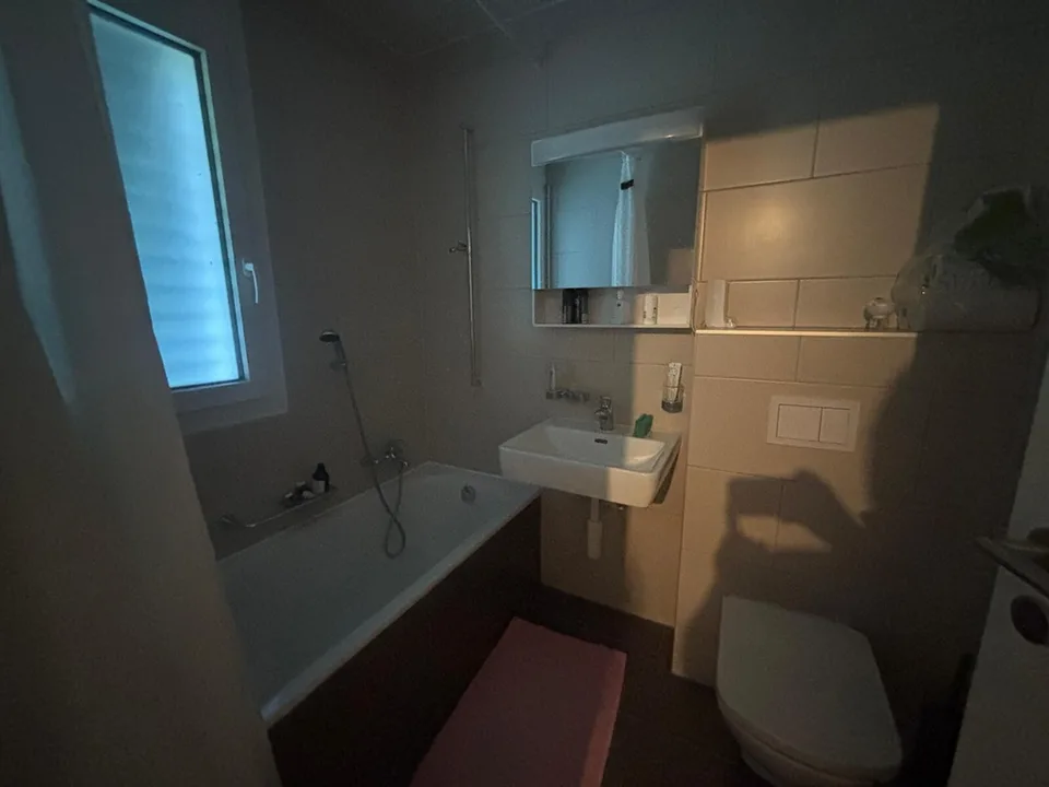 4,5 Zimmer mit Seeblick, nahe Autobahn und öffentlichen Verkehrsmitteln