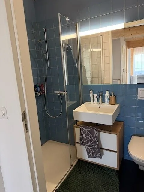 Appartamento di 4,5 locali a Birmensdorf (ZH) La tua nuova casa nel verde