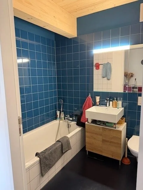Appartamento di 4,5 locali a Birmensdorf (ZH) La tua nuova casa nel verde