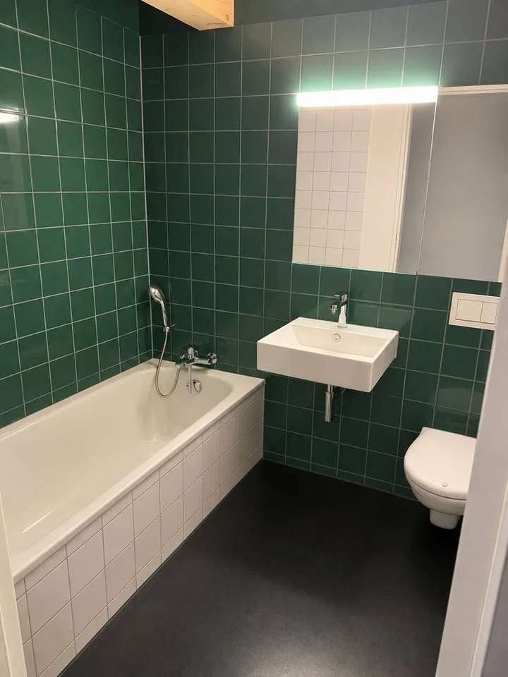 4.5 Zimmer-Wohnung in Birmensdorf (ZH) Ihr neues Zuhause im Grünen