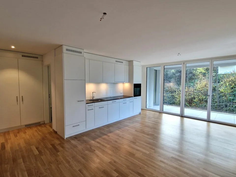 Modern 2.5-room apartment in Neustadt Lucerne