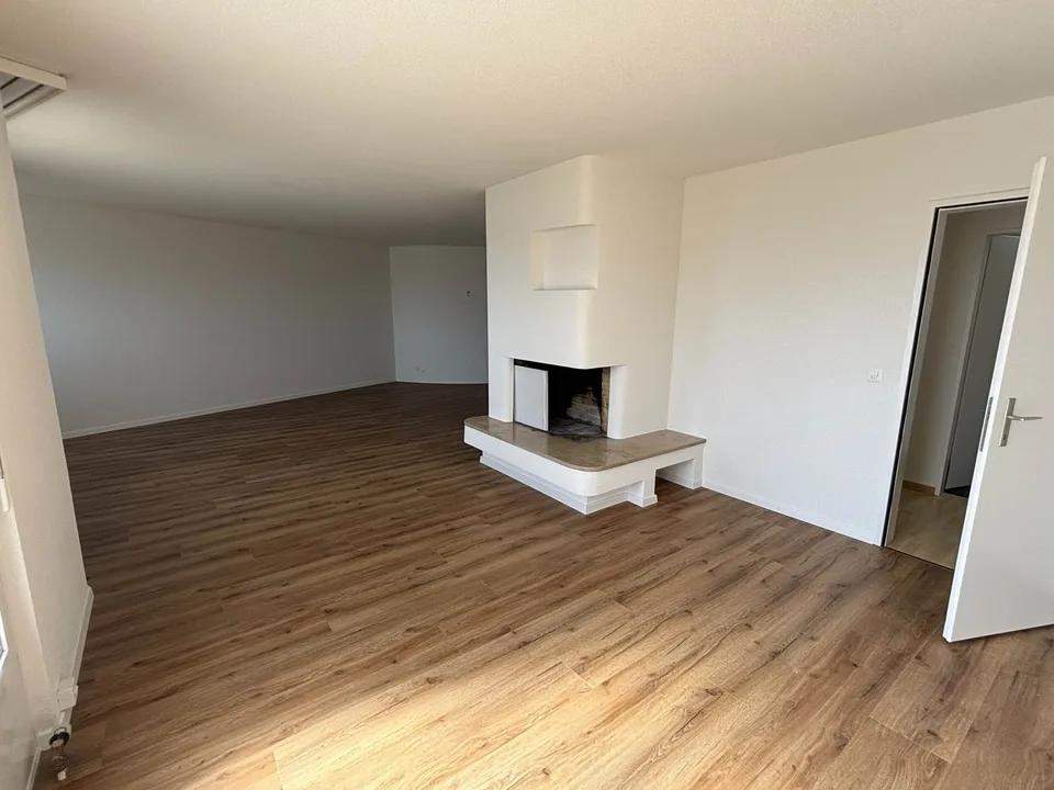 5 1/2-ZIMMER-ATTIKAWOHNUNG;  NEU RENOVIERT