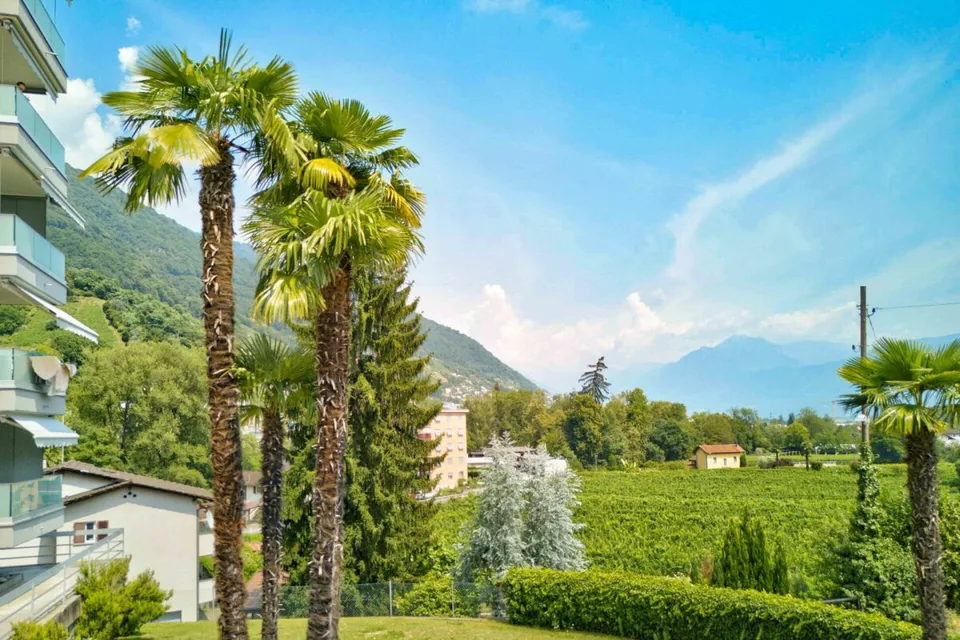 Well-maintained 3.5-room holiday apartment on Lago Maggiore in Tenero