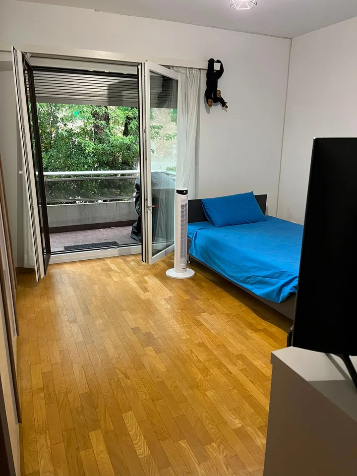 Massagno – Geräumige 3.5-Zimmer-Wohnung renoviert mit Schwimmbad
