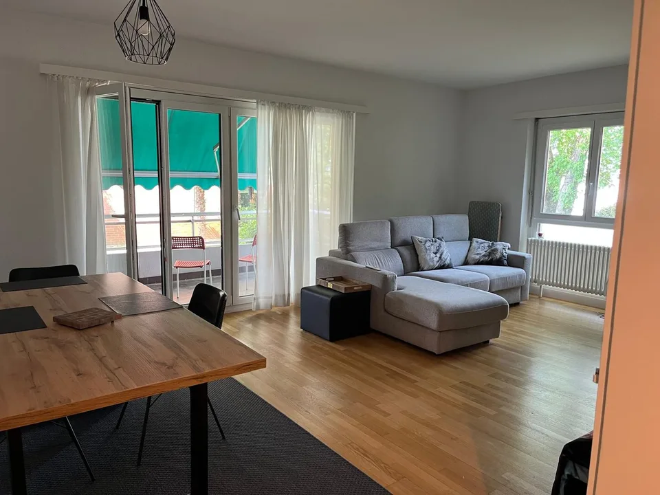 Massagno – Ampio 3.5 locali rinnovato con piscina condominiale