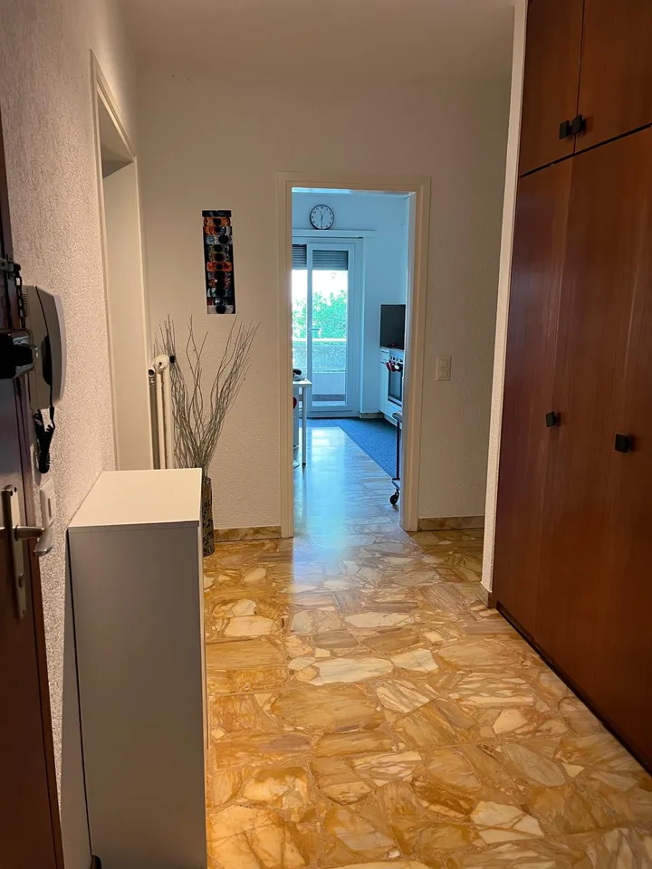 Massagno – Geräumige 3.5-Zimmer-Wohnung renoviert mit Schwimmbad