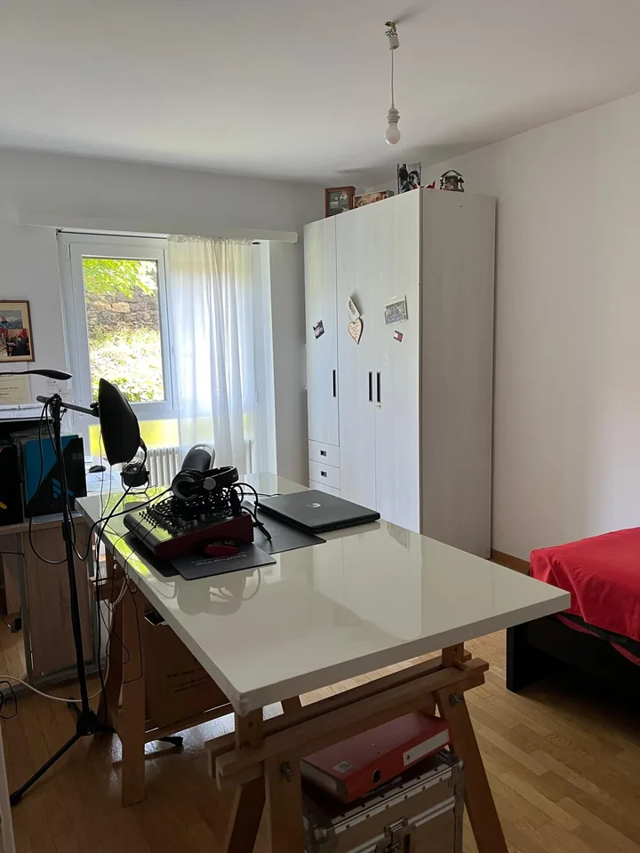 Massagno – Geräumige 3.5-Zimmer-Wohnung renoviert mit Schwimmbad