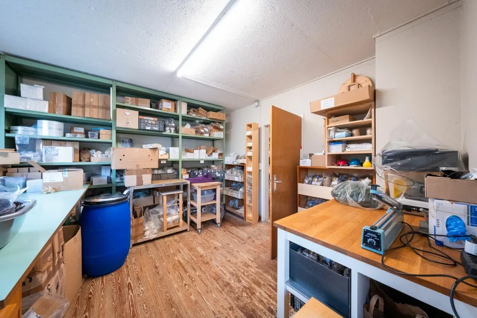 Two-family house with garages, workshop, and storage rooms for sale