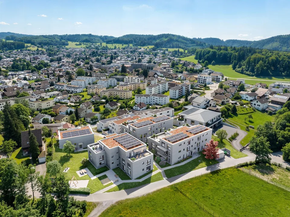 Brisenwiese Seon - Living with a View