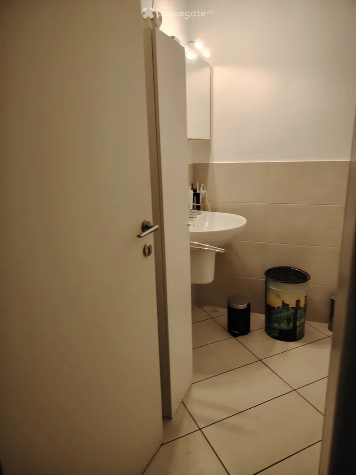 Moderne 4,5-Zimmer-Wohnung mit Möbeln - Mendrisio