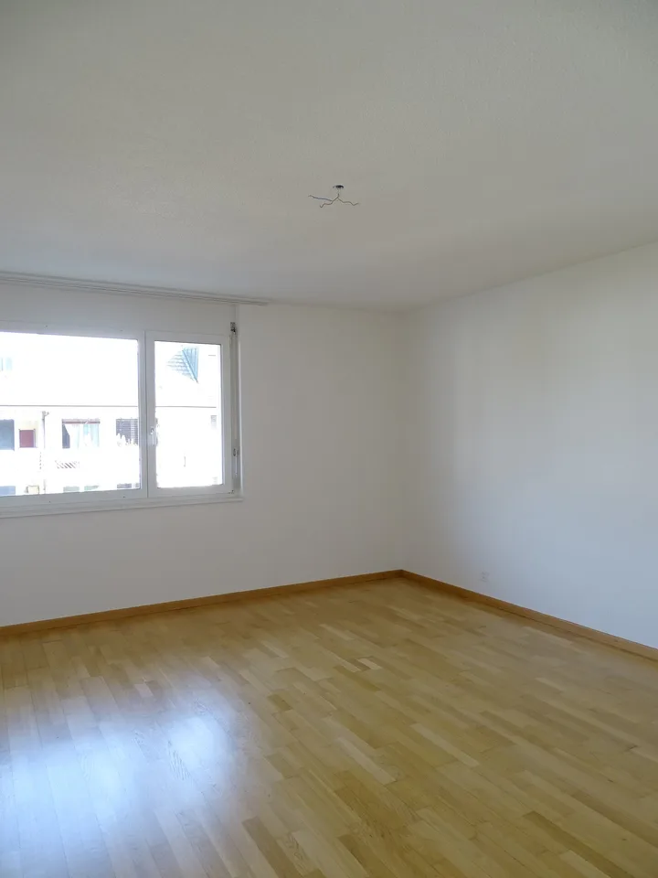 Spacious 4.5-room apartment in a quiet residential area