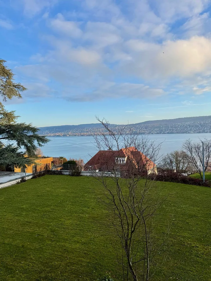 1.0-room apartment in the heart of Thalwil