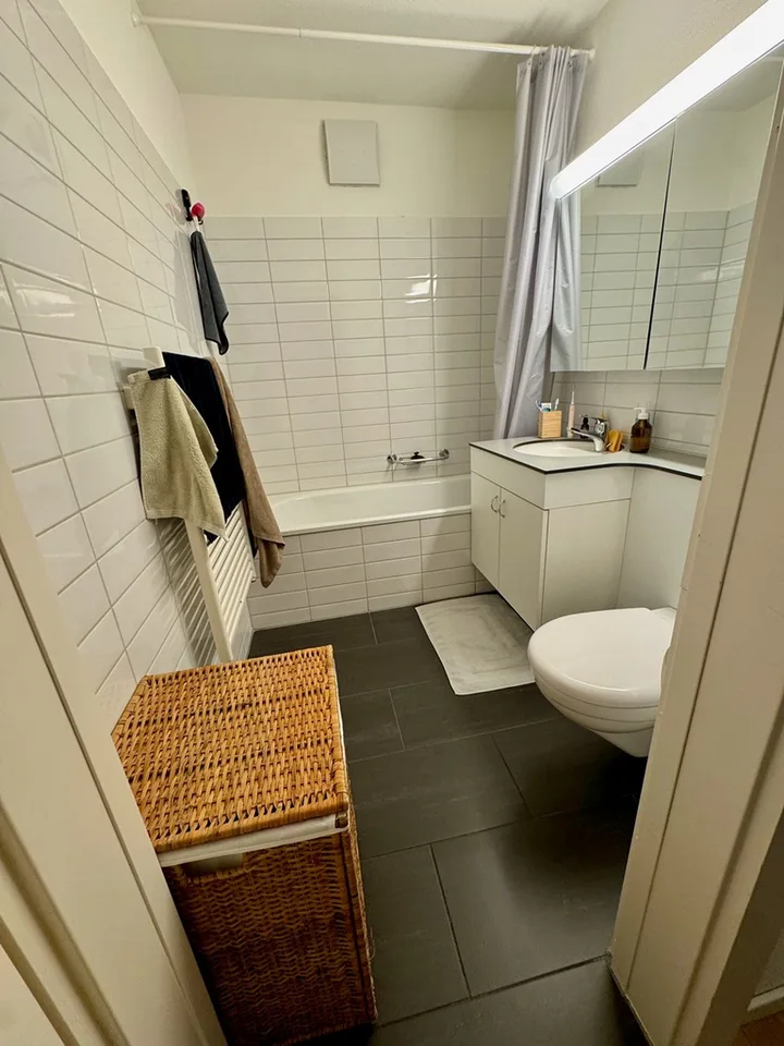 1.0-room apartment in the heart of Thalwil