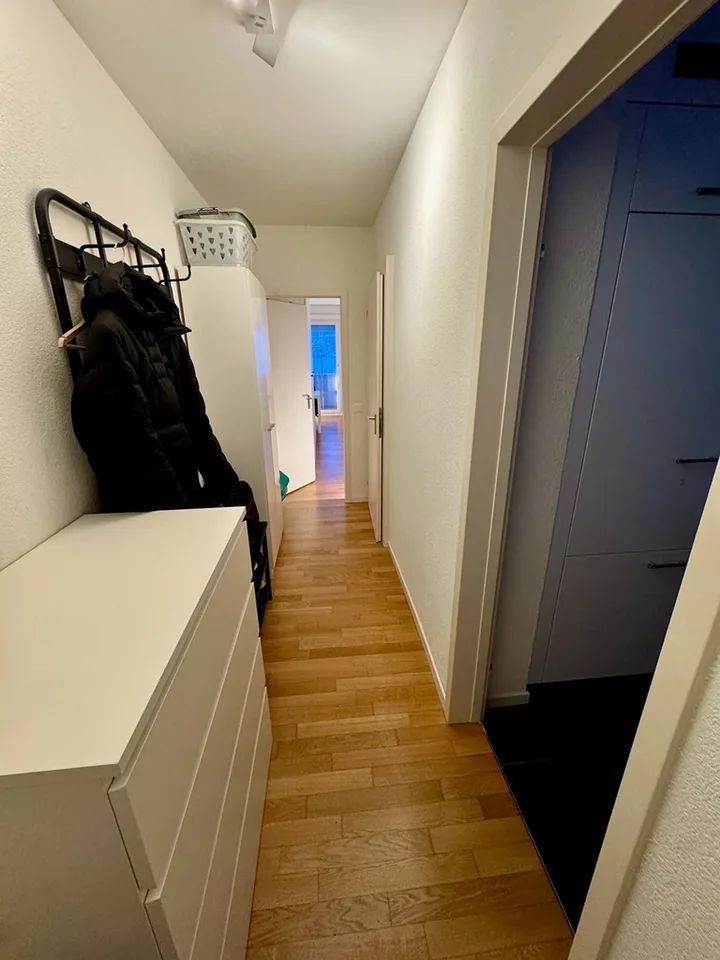 1.0-room apartment in the heart of Thalwil