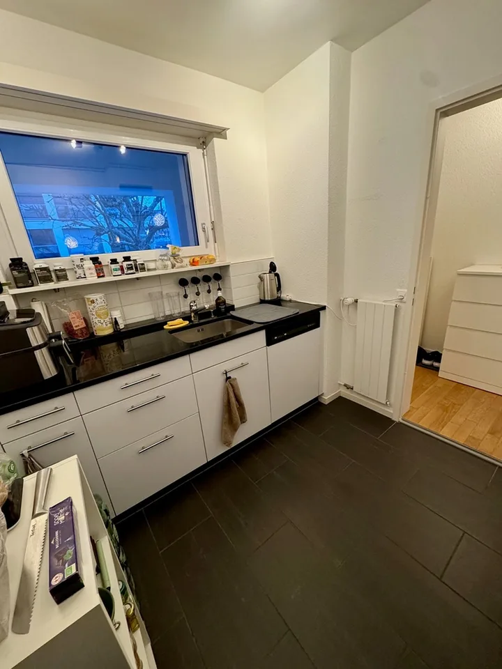 1.0-room apartment in the heart of Thalwil